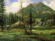 Albert Bierstadt Sierra_Nevada_Mountains Spain oil painting artist